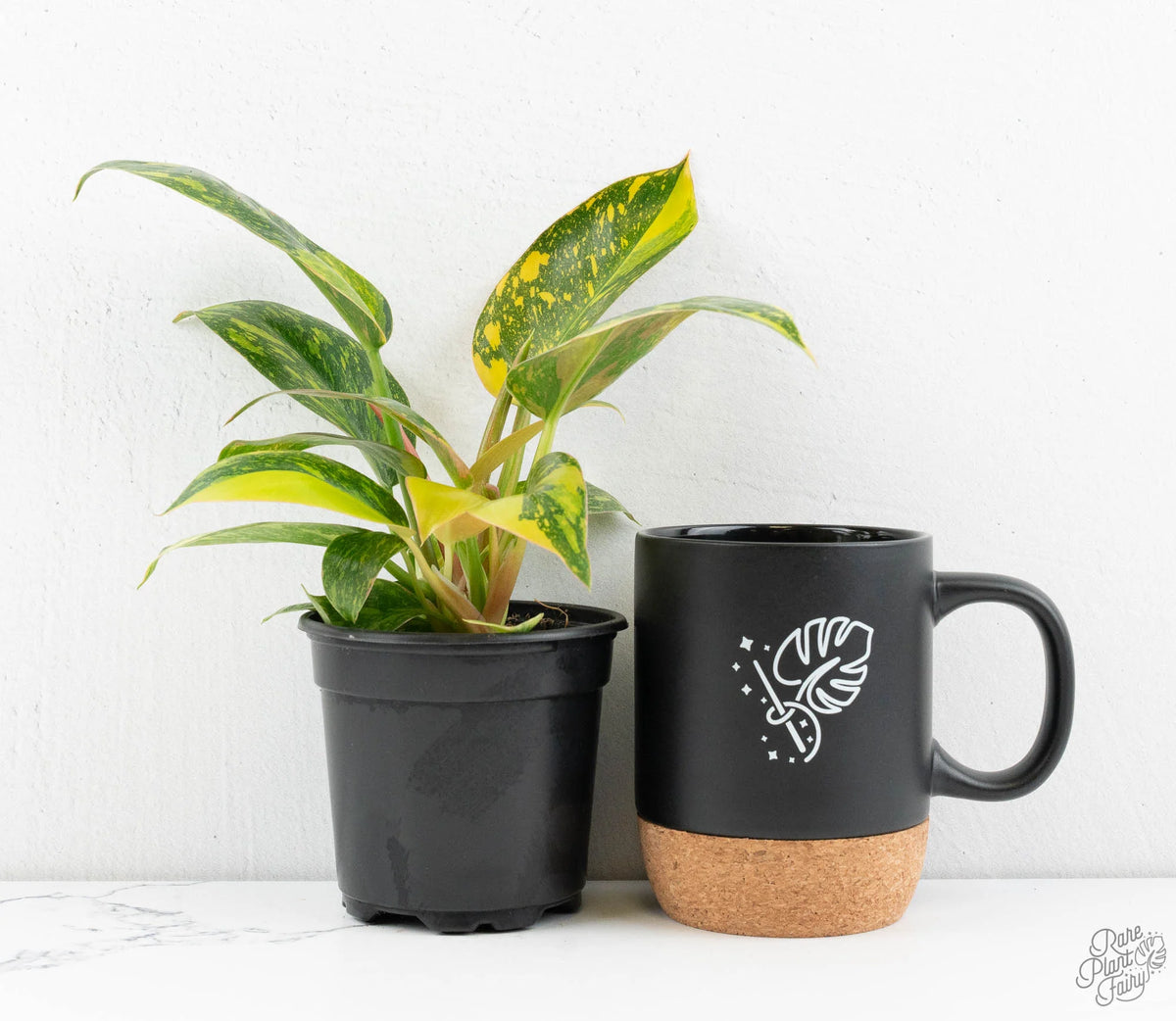 Green Congo Nuclear Variegated Philodendron